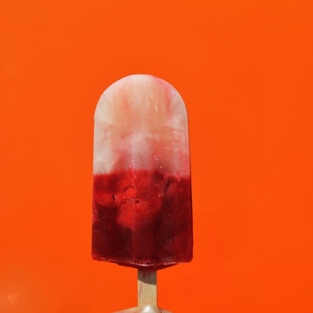 Revolution Artisan Pops Raspberry Lemon Pop