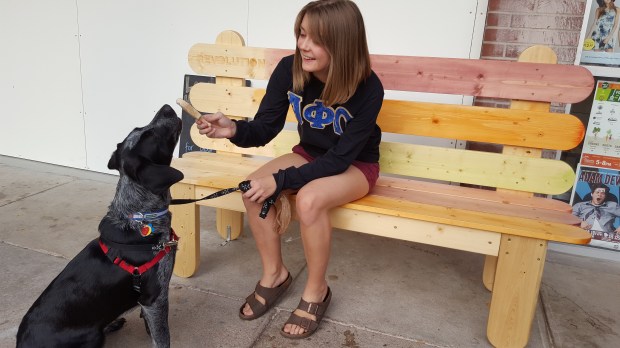 Revolution Artisan Pops bench