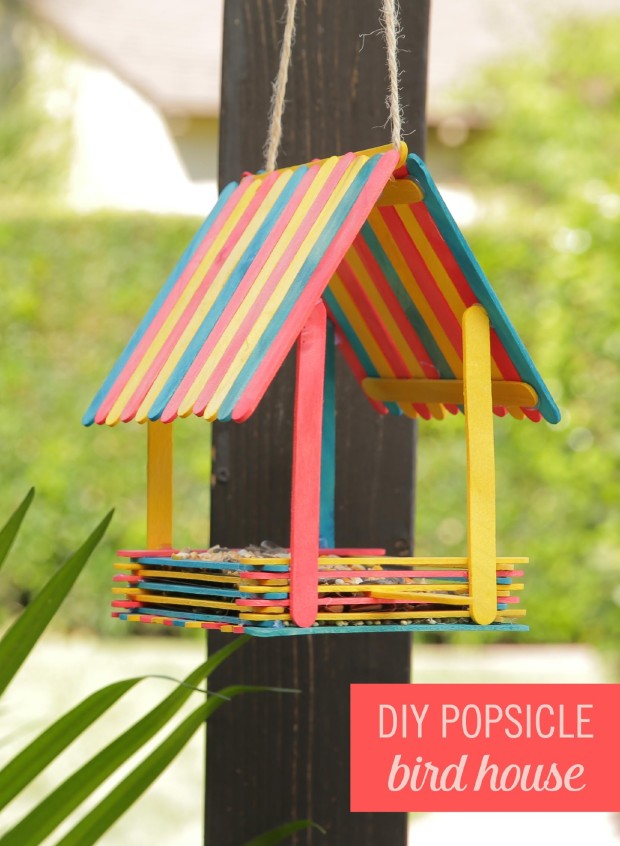 Revolution Artisan Pops Fort Collins Popsicles birdhouse
